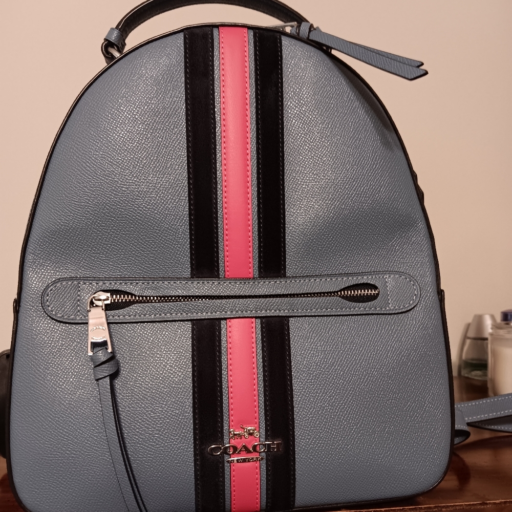 Coach back pak